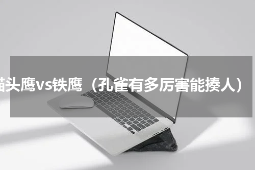 猫头鹰vs铁鹰（孔雀有多厉害能揍人）