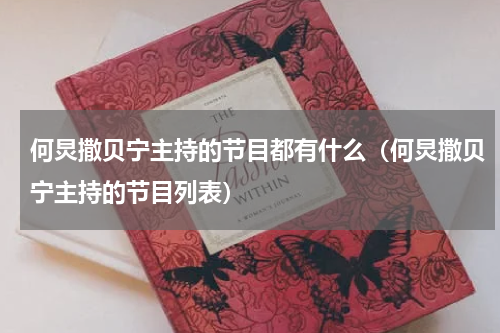 何炅撒贝宁主持的节目都有什么（何炅撒贝宁主持的节目列表）