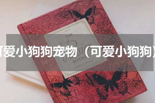 可爱小狗狗宠物（可爱小狗狗）
