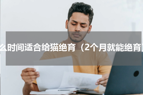 什么时间适合给猫绝育（2个月就能绝育）