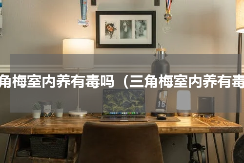 三角梅室内养有毒吗（三角梅室内养有毒）