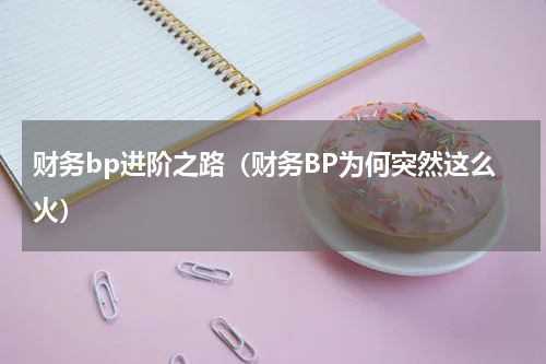 财务bp进阶之路（财务BP为何突然这么火）
