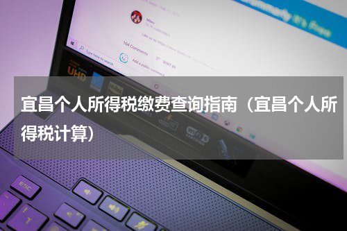 宜昌个人所得税缴费查询指南（宜昌个人所得税计算）