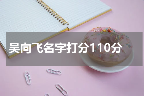 吴向飞名字打分110分