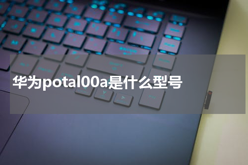 华为potal00a是什么型号