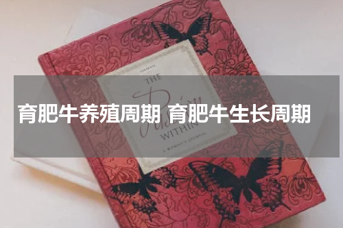 育肥牛养殖周期 育肥牛生长周期