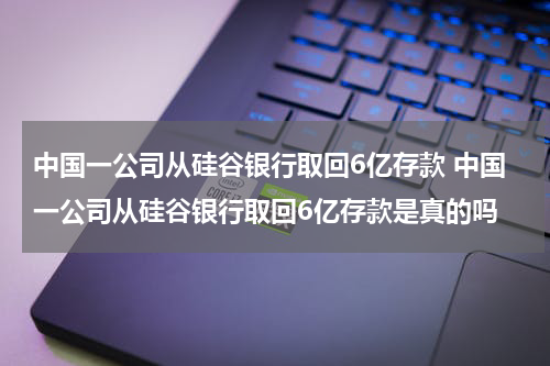 中国一公司从硅谷银行取回6亿存款 中国一公司从硅谷银行取回6亿存款是真的吗