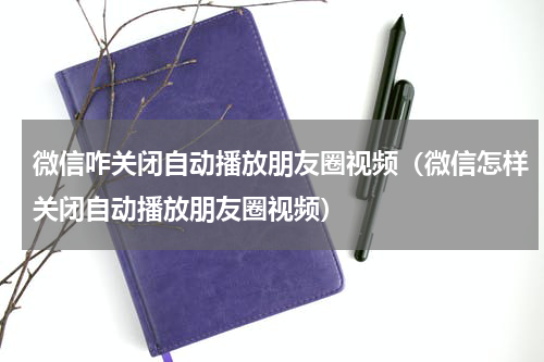 微信咋关闭自动播放朋友圈视频（微信怎样关闭自动播放朋友圈视频）