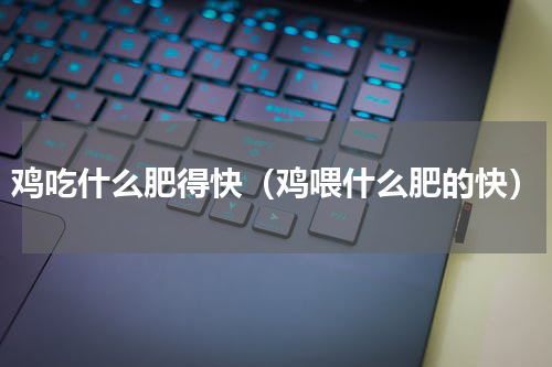 鸡吃什么肥得快（鸡喂什么肥的快）
