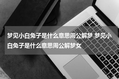 梦见小白兔子是什么意思周公解梦 梦见小白兔子是什么意思周公解梦女