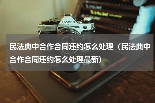 民法典中合作合同违约怎么处理（民法典中合作合同违约怎么处理最新）