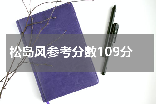松岛风参考分数109分