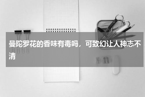 曼陀罗花的香味有毒吗，可致幻让人神志不清