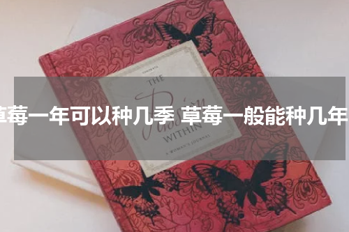 草莓一年可以种几季 草莓一般能种几年
