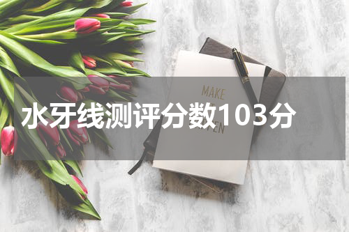 水牙线测评分数103分
