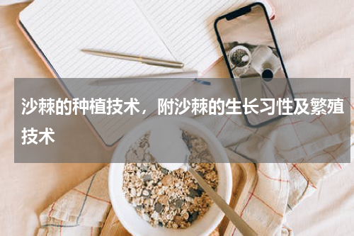 沙棘的种植技术，附沙棘的生长习性及繁殖技术