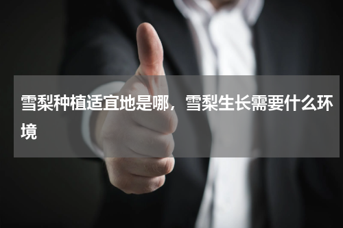 雪梨种植适宜地是哪，雪梨生长需要什么环境