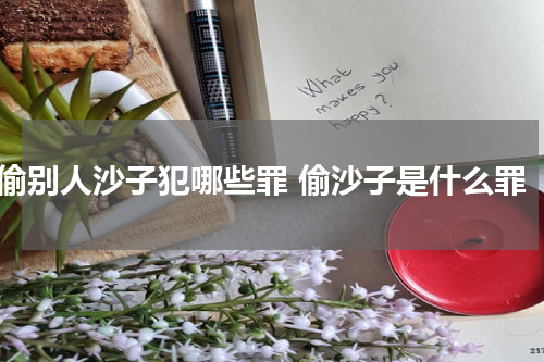 偷别人沙子犯哪些罪 偷沙子是什么罪