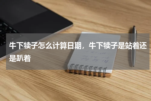 牛下犊子怎么计算日期，牛下犊子是站着还是趴着