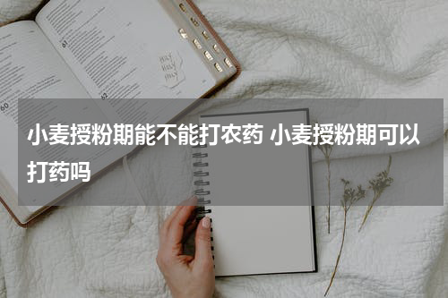 小麦授粉期能不能打农药 小麦授粉期可以打药吗