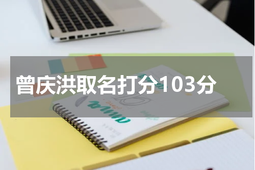 曾庆洪取名打分103分