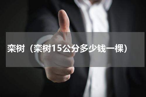 栾树（栾树15公分多少钱一棵）