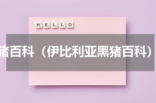 猪百科（伊比利亚黑猪百科）