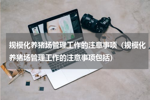 规模化养猪场管理工作的注意事项（规模化养猪场管理工作的注意事项包括）