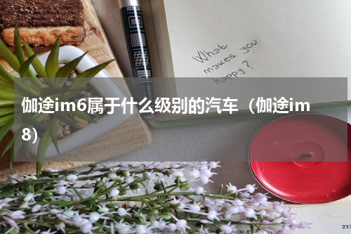 伽途im6属于什么级别的汽车（伽途im8）