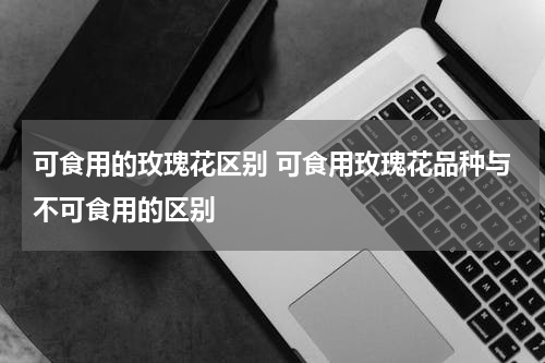 可食用的玫瑰花区别 可食用玫瑰花品种与不可食用的区别