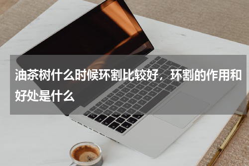 油茶树什么时候环割比较好，环割的作用和好处是什么
