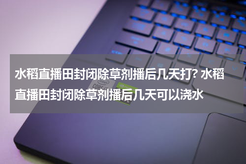 水稻直播田封闭除草剂播后几天打? 水稻直播田封闭除草剂播后几天可以浇水