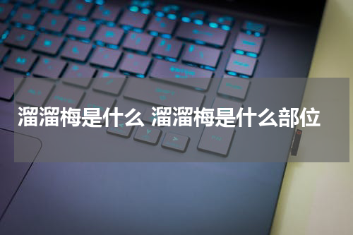 溜溜梅是什么 溜溜梅是什么部位