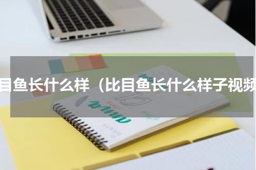 比目鱼长什么样（比目鱼长什么样子视频）