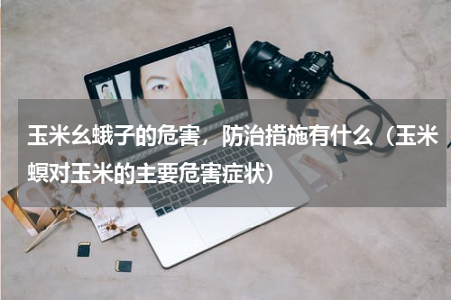 玉米幺蛾子的危害，防治措施有什么（玉米螟对玉米的主要危害症状）