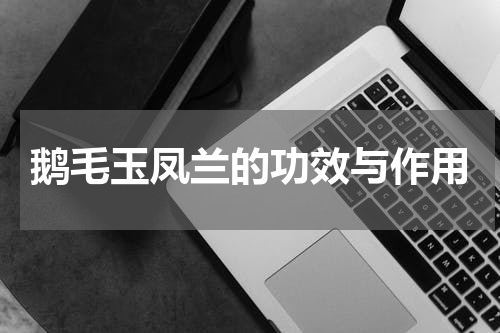 鹅毛玉凤兰的功效与作用