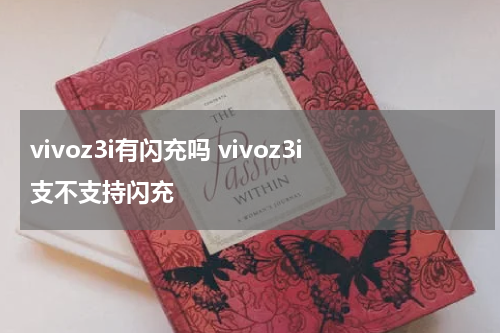 vivoz3i有闪充吗 vivoz3i支不支持闪充