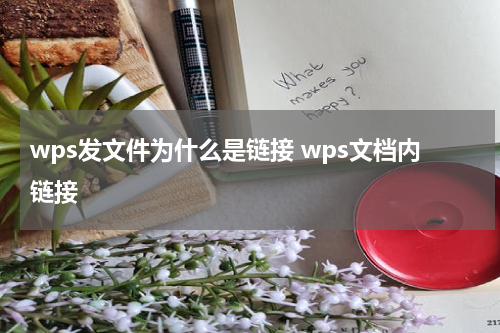 wps发文件为什么是链接 wps文档内链接