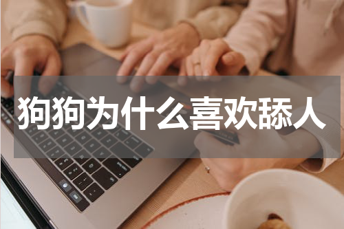 狗狗为什么喜欢舔人