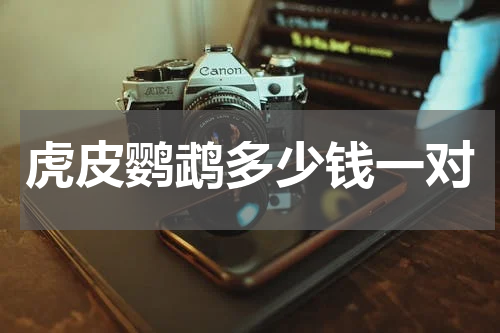 虎皮鹦鹉多少钱一对