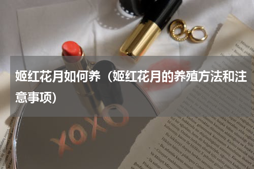 姬红花月如何养（姬红花月的养殖方法和注意事项）