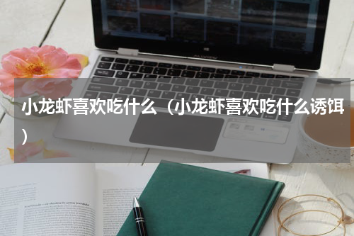 小龙虾喜欢吃什么（小龙虾喜欢吃什么诱饵）