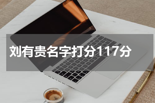 刘有贵名字打分117分