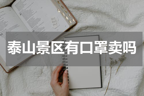 泰山景区有口罩卖吗