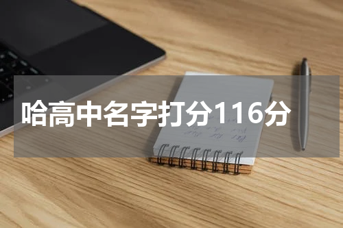 哈高中名字打分116分