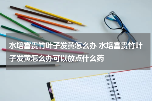 水培富贵竹叶子发黄怎么办 水培富贵竹叶子发黄怎么办可以放点什么药