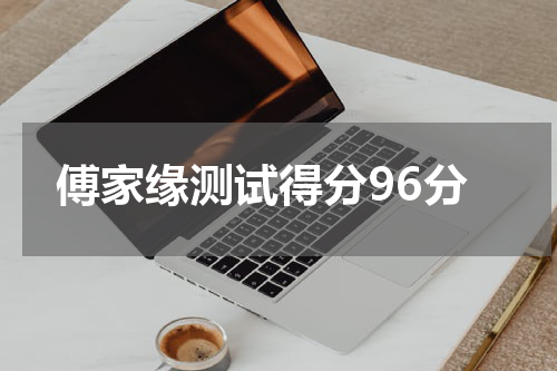傅家缘测试得分96分