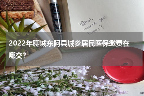 2022年聊城东阿县城乡居民医保缴费在哪交？