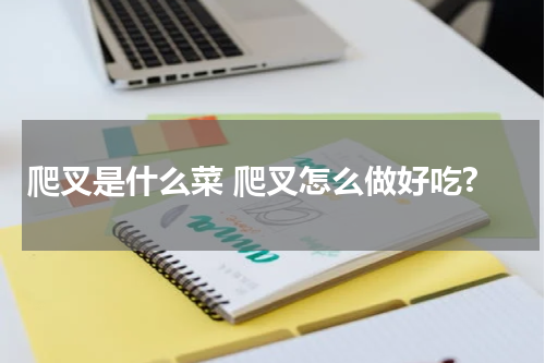 爬叉是什么菜 爬叉怎么做好吃?