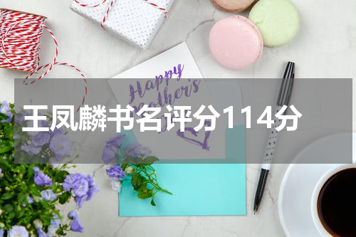 王凤麟书名评分114分